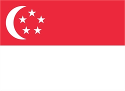 [ai] The flag of Singapore features a red field with a white horizontal stripe at the bottom. A white crescent moon is positioned on the left, with five white stars arranged in a circle.